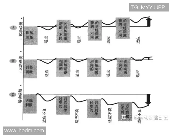 黄芳独家分享羽毛球技巧与训练心得助你提升竞技水平